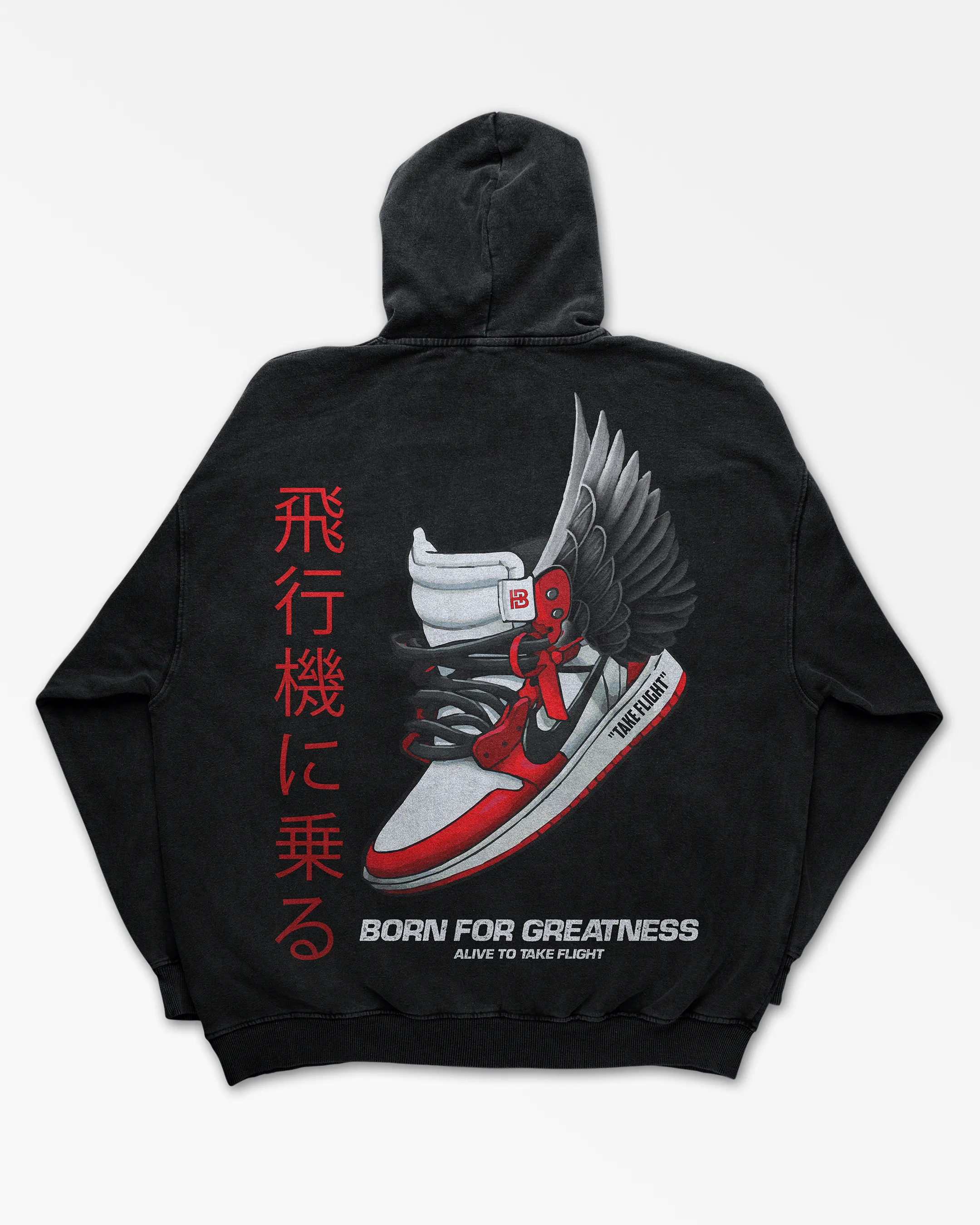 TAKE FLIGHT BORN FOR GREATNESS HOODIE
